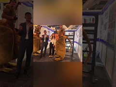 Un viaje gratificante a la Exposición de Construcción de Sydney